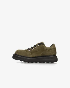 Premiata Scarpe Cal in suede rain oliva>Uomo Stringate